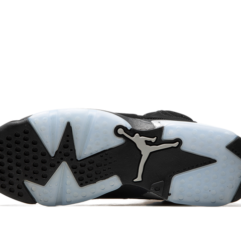 JORDAN Air Jordan 6 GS Chrome Stadium Goods