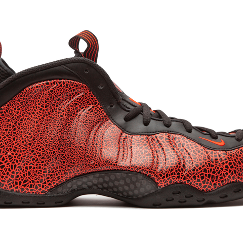 NIKE Air Foamposite One  display picture 2