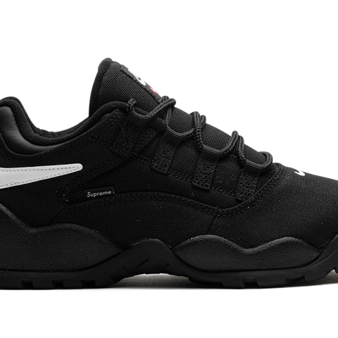 NIKE SB Darwin Low Supreme Black Stadium Goods