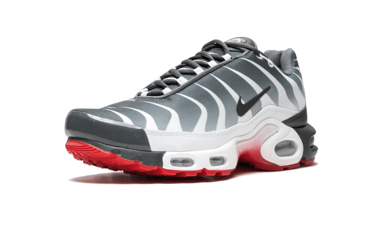 nike air max tn se men's