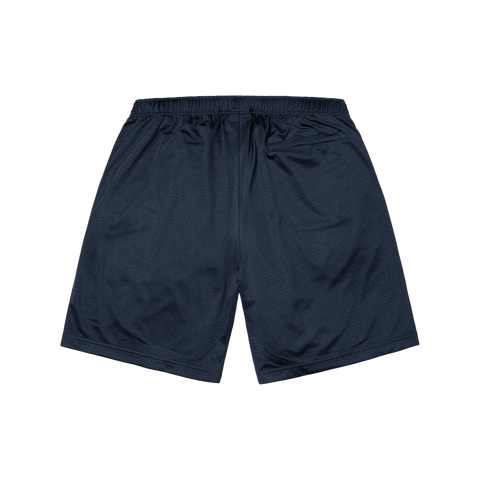 SUPREME Small Box Baggy Mesh Short 