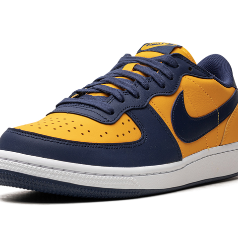 NIKE Terminator Low OG 