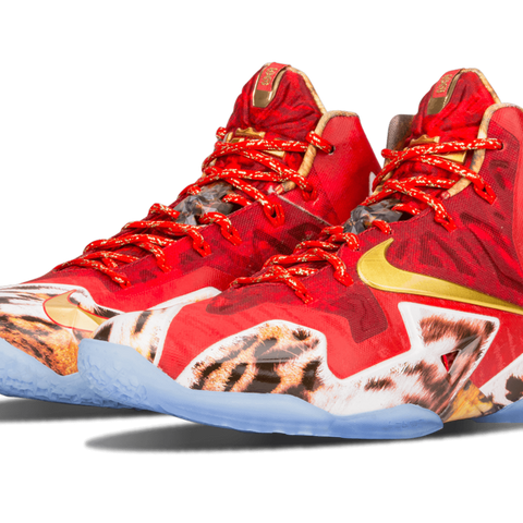 Lebron 11 Premium Stadium Goods