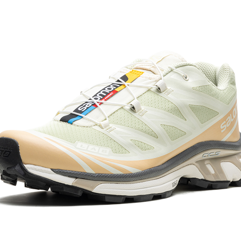 Salomon XT-6 Aloe Wash Feather Grey