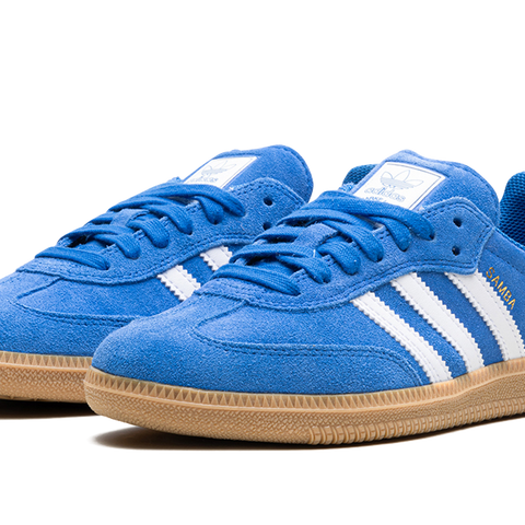 Samba ADV Blue Bird