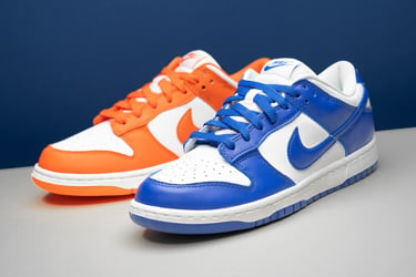 Explaining nike dunk low skate shoes the Differences Between the Nike Dunk and Nike SB Dunk