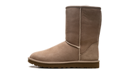 Classics Short Ii WMNS "Sand" 1016223 SAN — 5W