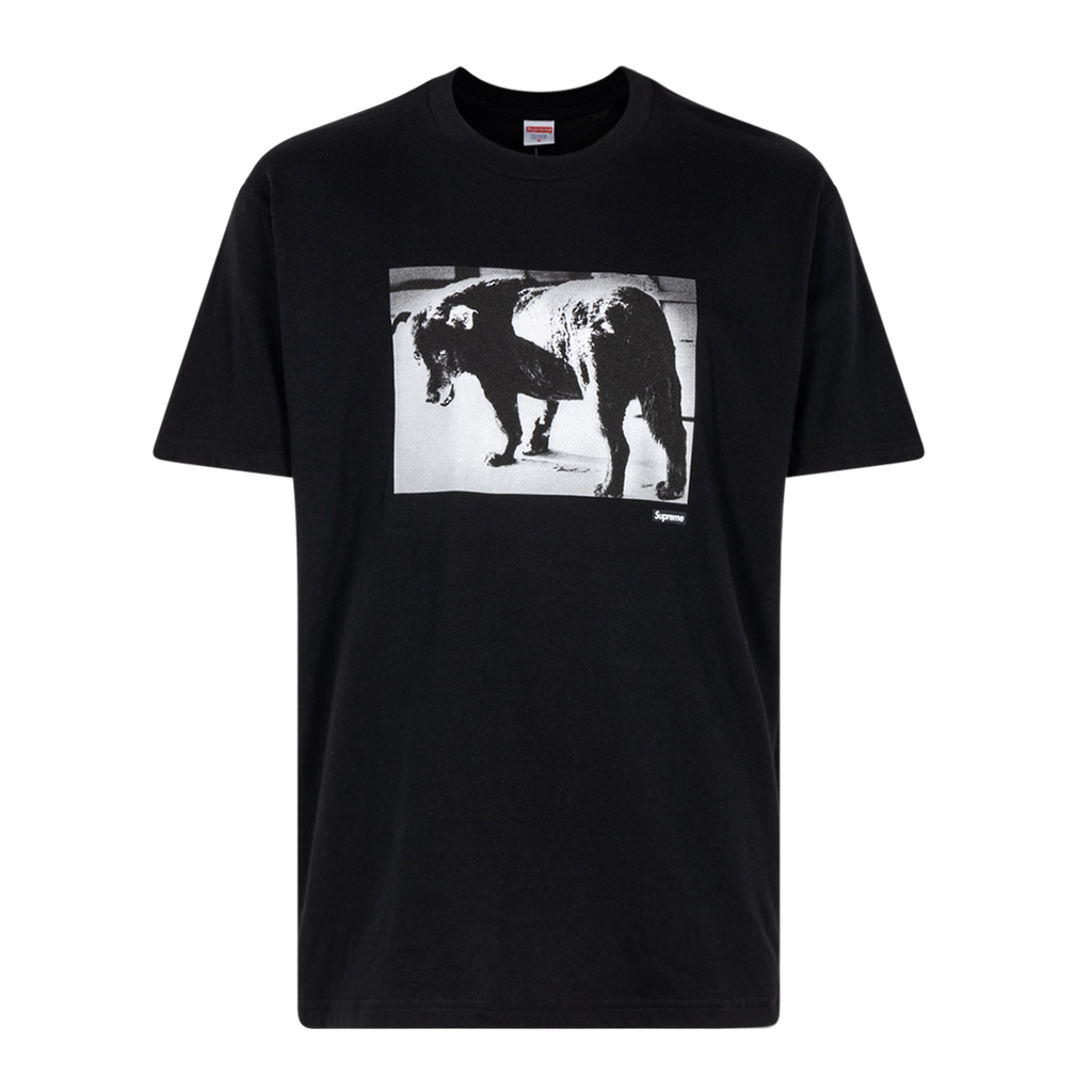 シュプリーム★サマーTシャツ★Daido Moriyama Dog Tee SUPREME Daido Moriyama Dog Tee