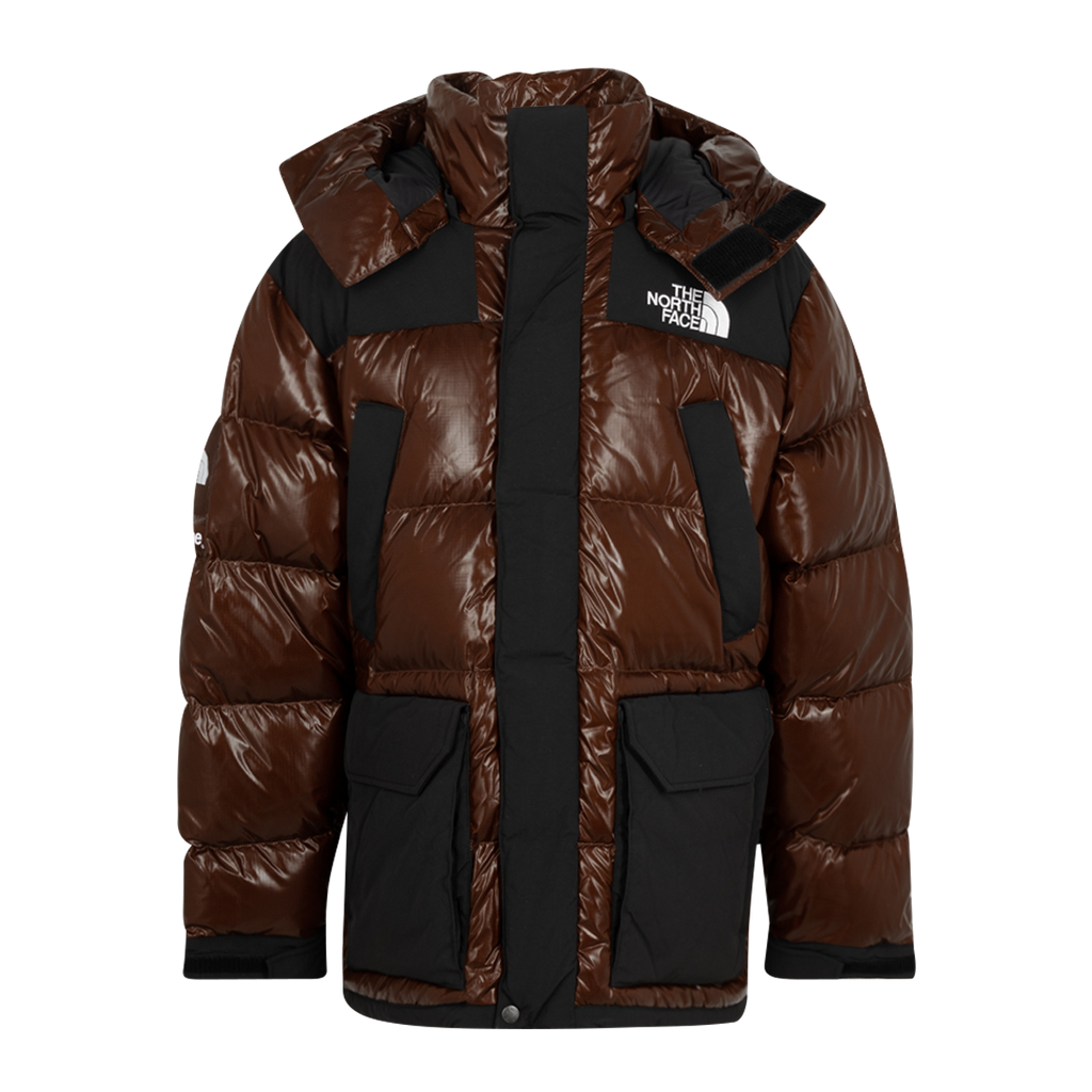 SUPREME TNF 700-Fill Down Parka 