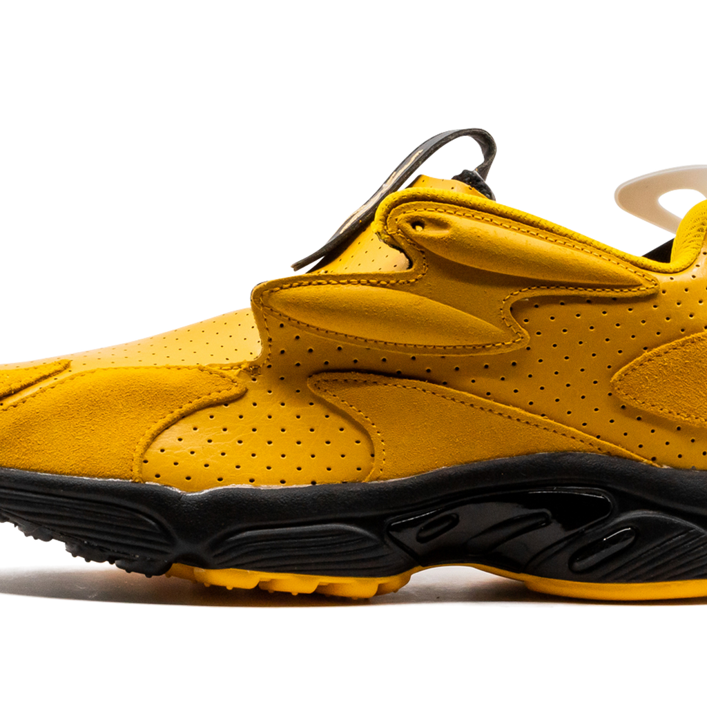 Daytona DMX Experiment Stadium Goods